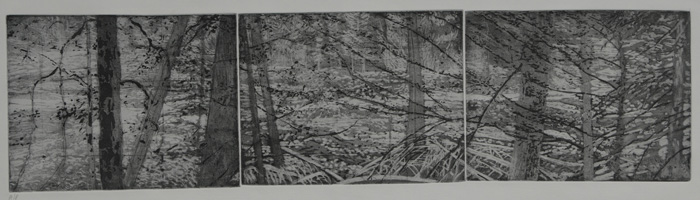 etching titled Nisqually River, Mount Rainier National Park